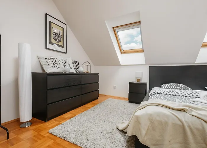 Roy 2 Bdr Apartment With Prague Castle View, Parking & Ac