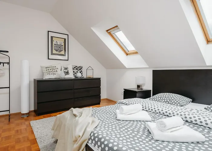 Roy 2 Bdr Apartment With Prague Castle View, Parking & Ac